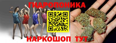 гашик Нарткала