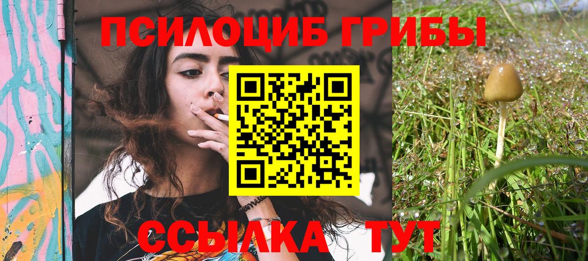 Сердобск  Галлюциногенные грибы мицелий  Вход с VPN 