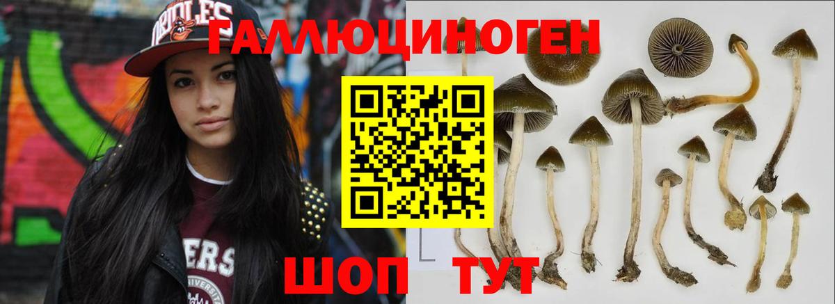 Галлюциногенные грибы прущие грибы Сердобск